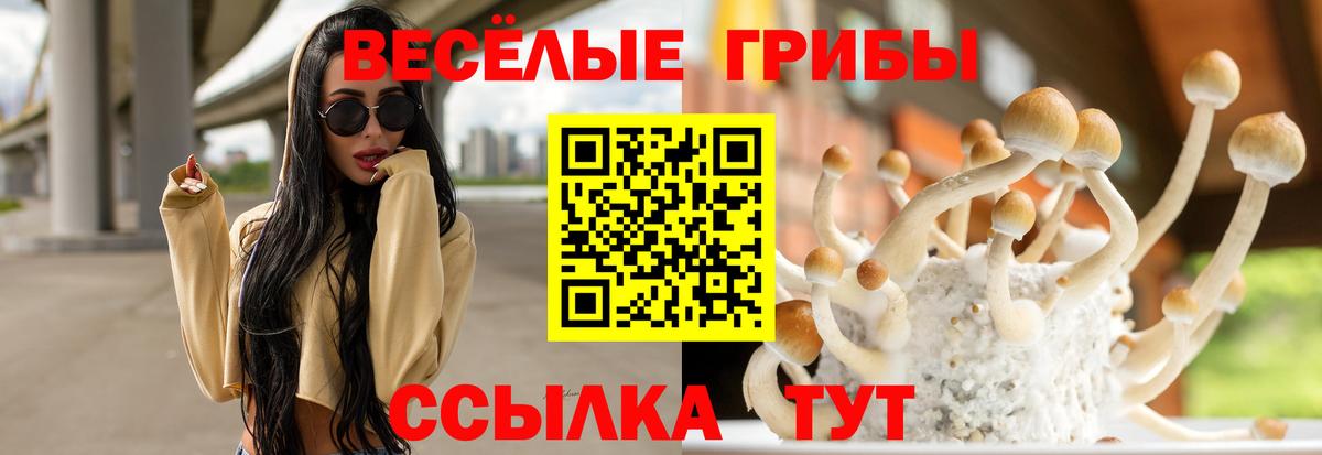 Псилоцибиновые грибы прущие грибы  Вход с VPN  Галлюциногенные грибы MAGIC MUSHROOMS  Мыски 