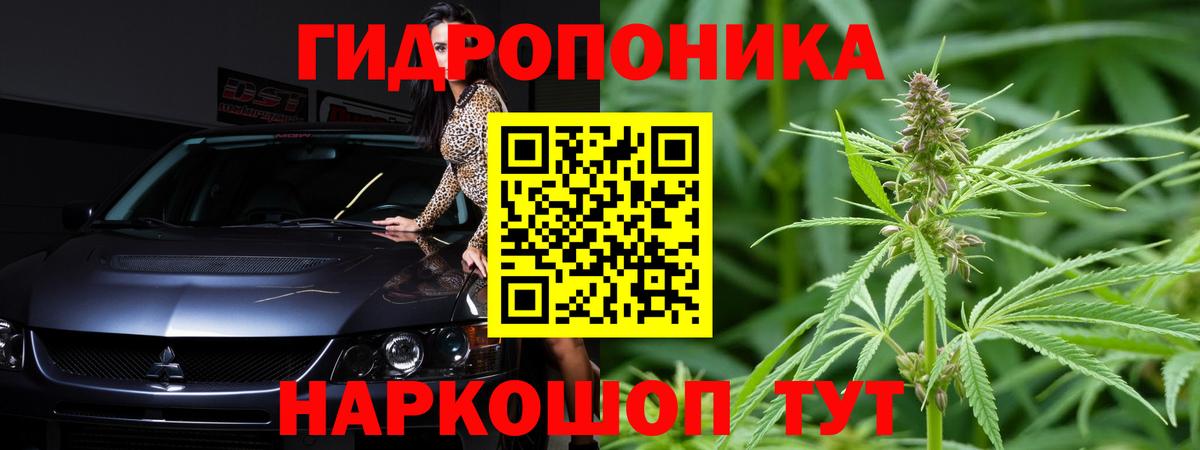 Конопля White Widow Мыски